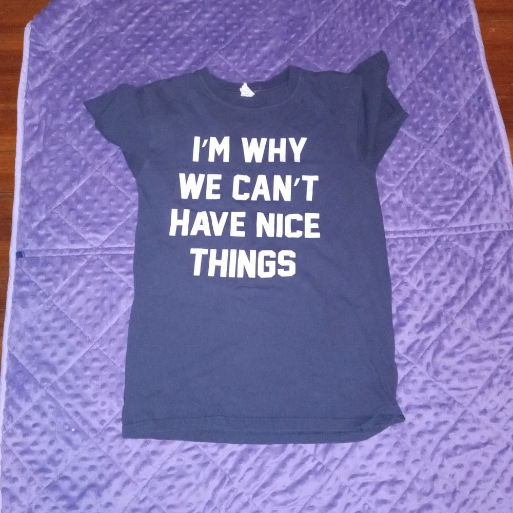 I'm Why We Can't Have Nice Things Funny T Shirt Small Blue